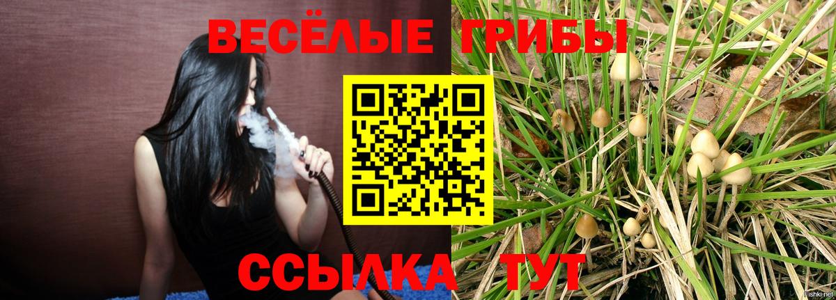 Псилоцибиновые грибы Magic Shrooms  Вход с VPN  Алапаевск  Галлюциногенные грибы GOLDEN TEACHER 