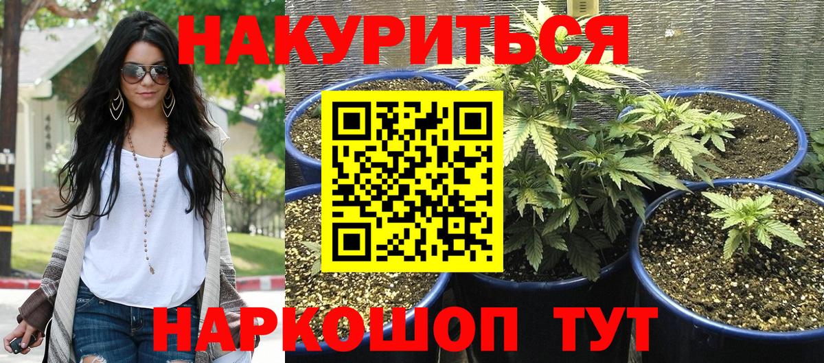 Шишки марихуана тримм  Каннабис White Widow  Алапаевск  Вход с VPN  Конопля VHQ 